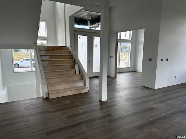 entryway featuring a healthy amount of sunlight, a high ceiling, and dark hardwood / wood-style flooring