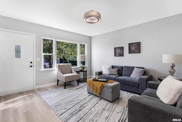 living room featuring light wood-type flooring