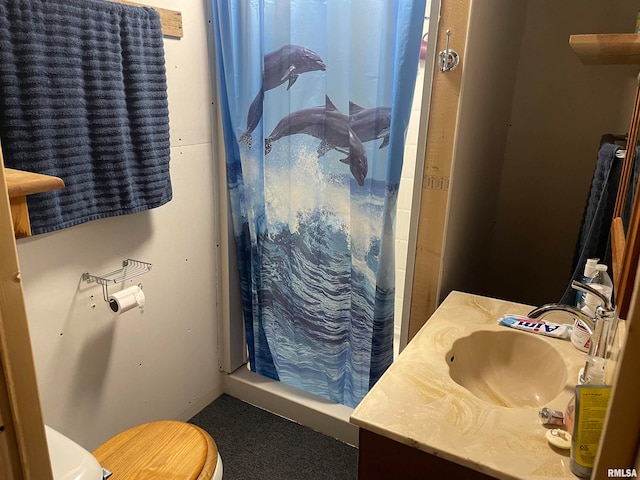 bathroom featuring toilet, vanity, and walk in shower