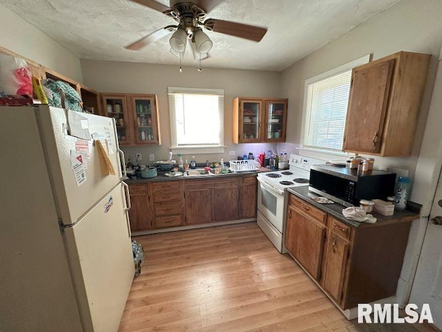 kitchen featuring light wood-type flooring, white appliances, a wealth of natural light, and ceiling fan