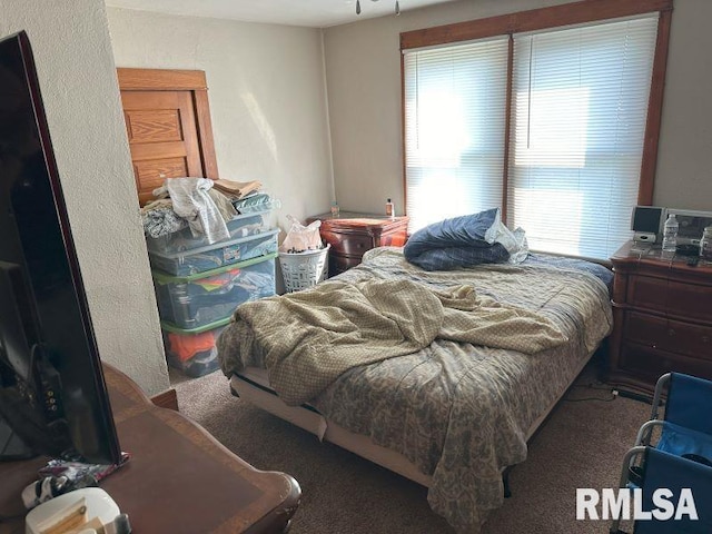 bedroom featuring carpet flooring