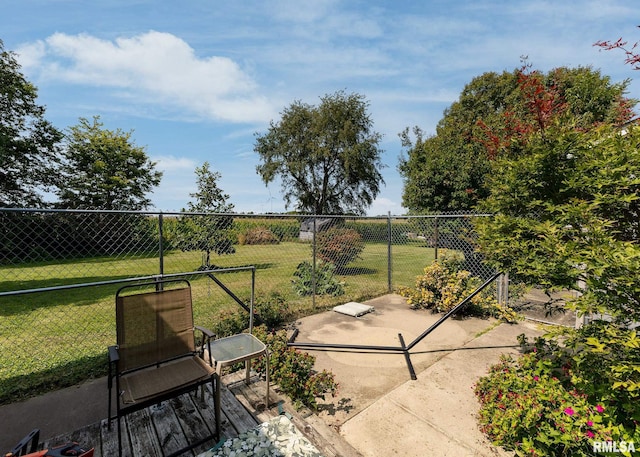 view of yard featuring a patio area