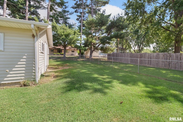 view of yard