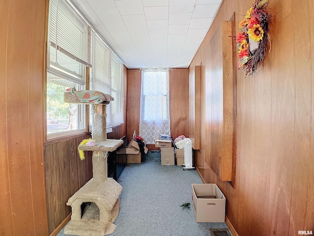 miscellaneous room featuring wooden walls