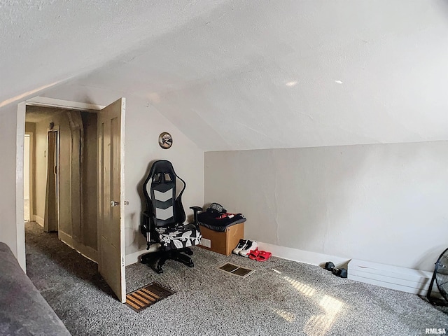 additional living space featuring dark carpet, lofted ceiling, and a textured ceiling