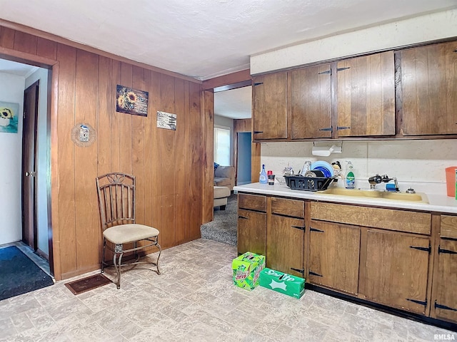 kitchen with wood walls and sink