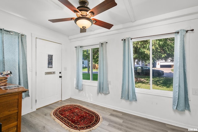 entrance foyer featuring ceiling fan and light hardwood / wood-style flooring