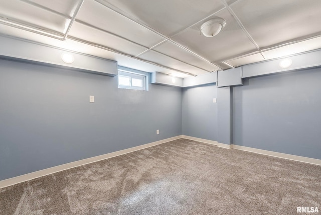 basement featuring carpet