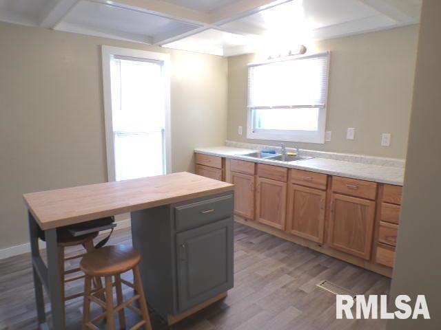 kitchen with coffered ceiling, a breakfast bar area, hardwood / wood-style flooring, wood counters, and sink