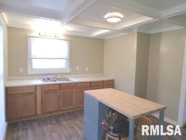 kitchen featuring coffered ceiling, beamed ceiling, light wood-type flooring, and sink