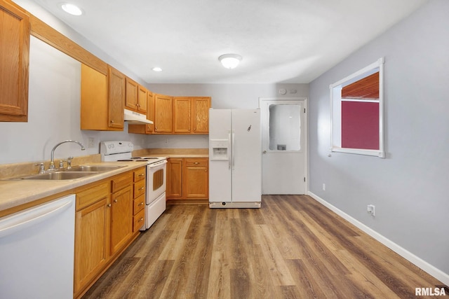 kitchen featuring dark hardwood / wood-style floors, sink, and white appliances