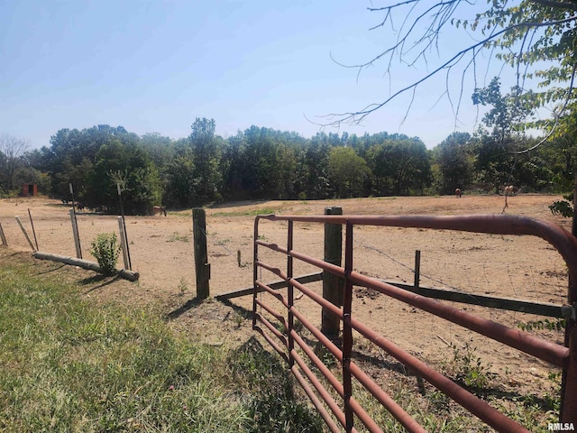 view of yard with a rural view