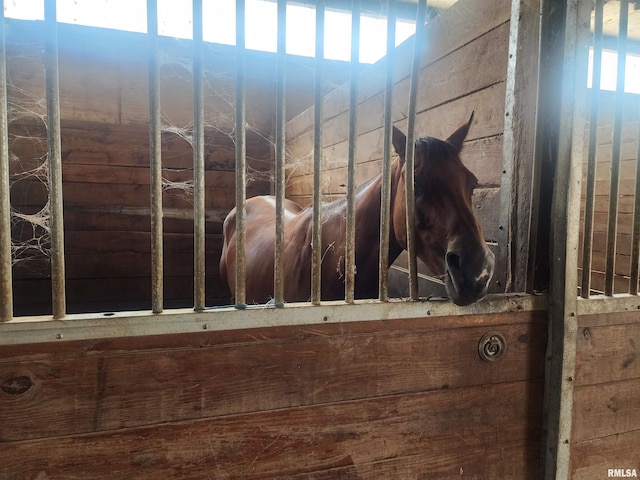 view of stable