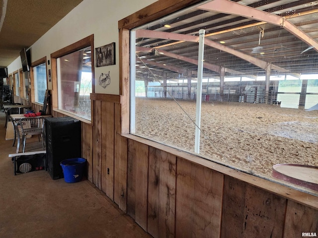 interior space with wooden walls