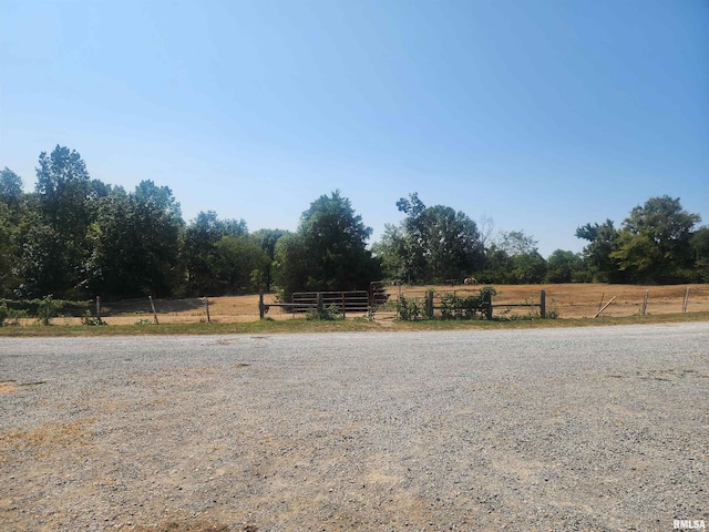 view of yard featuring a rural view