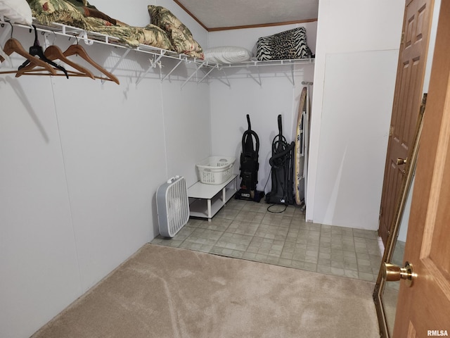 walk in closet featuring light carpet