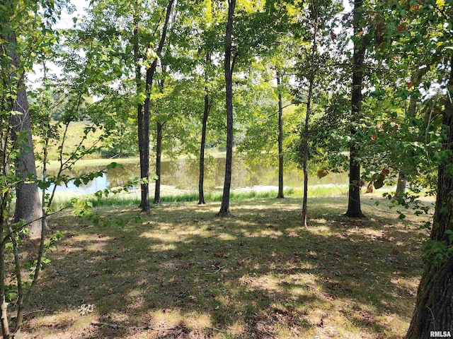 view of local wilderness featuring a water view