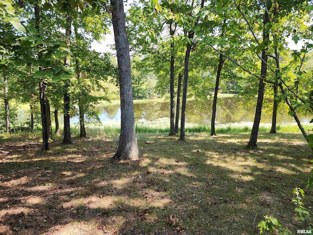 view of local wilderness with a water view