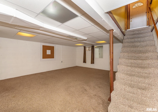 basement featuring carpet floors