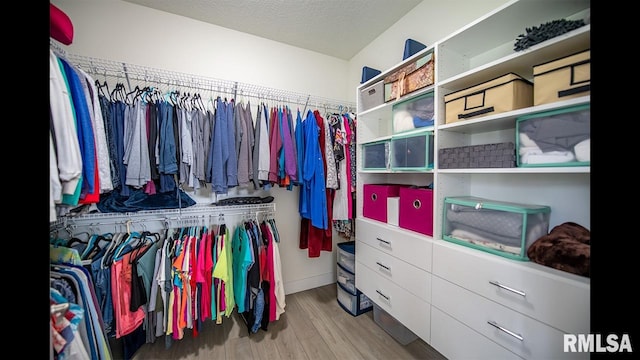 spacious closet with hardwood / wood-style flooring