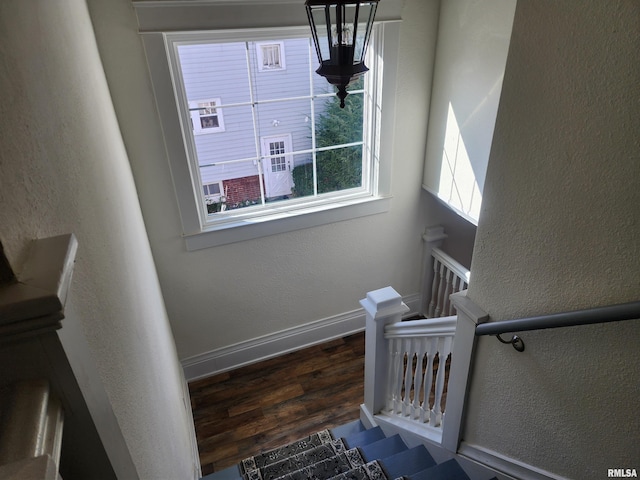 staircase featuring wood-type flooring