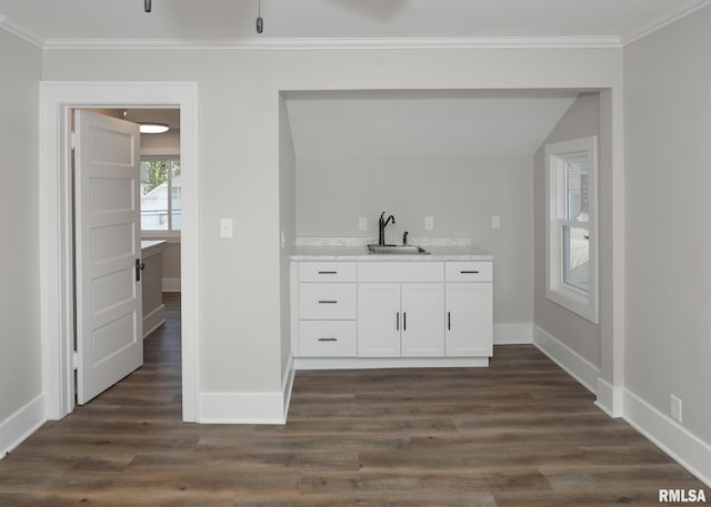 bar with crown molding, white cabinetry, sink, and dark wood-type flooring