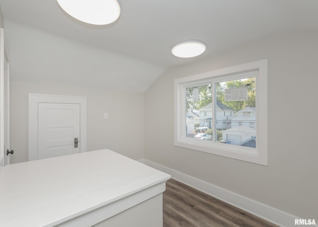 interior space featuring dark wood-type flooring and vaulted ceiling