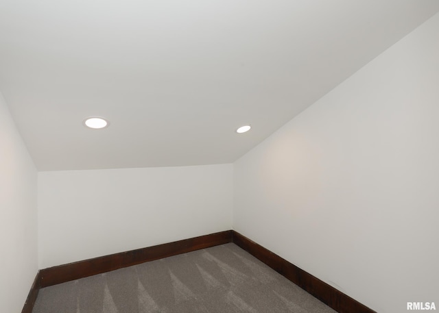 interior space with carpet and lofted ceiling