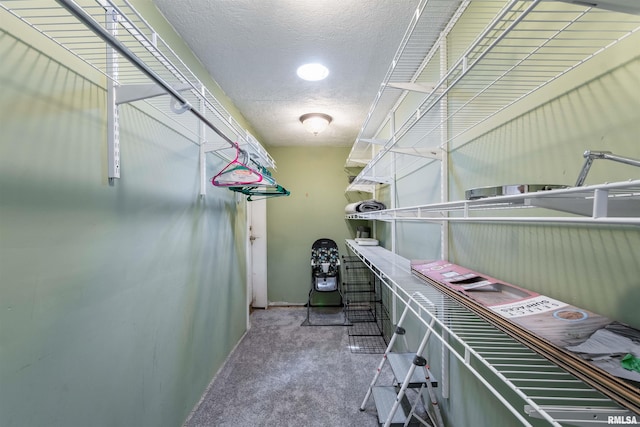 walk in closet featuring carpet flooring