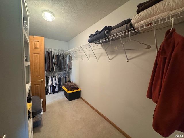 walk in closet featuring carpet flooring