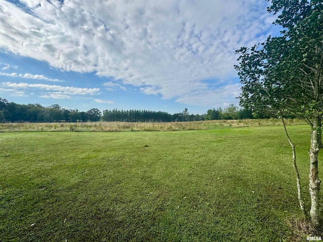 view of yard featuring a rural view