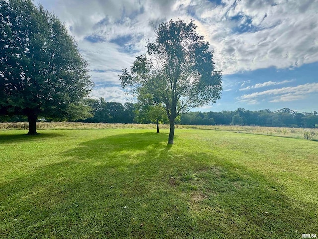 view of yard with a rural view