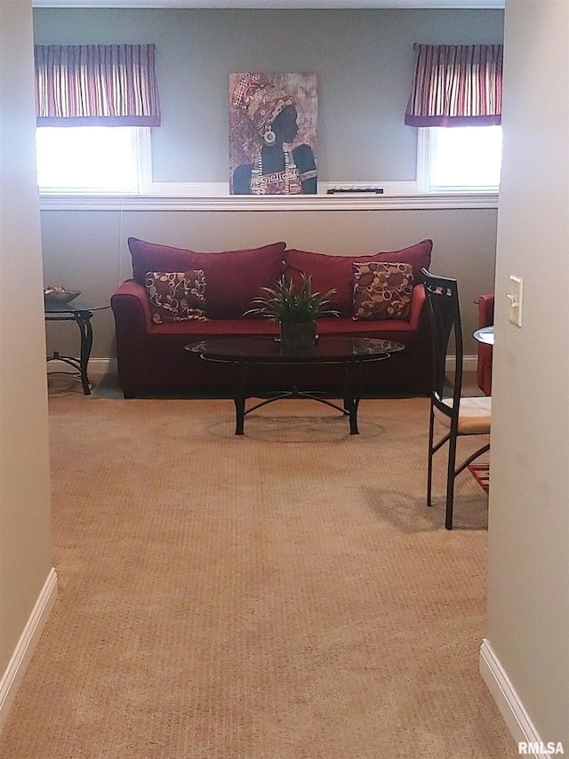 carpeted living room featuring a healthy amount of sunlight