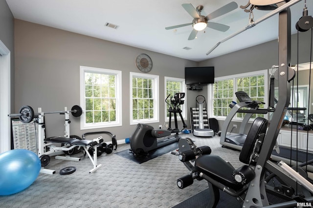 exercise area featuring ceiling fan and carpet flooring