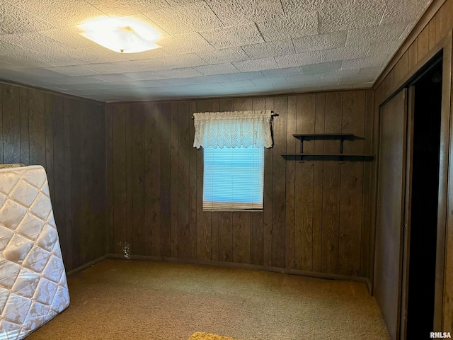 carpeted empty room with wood walls