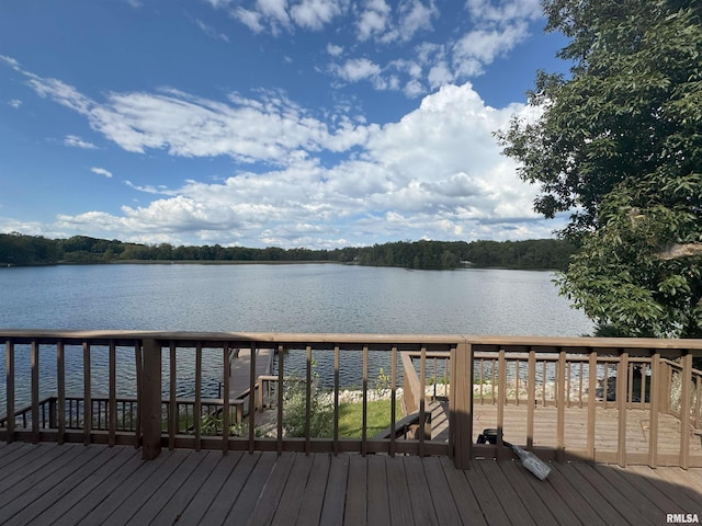 19193 Braggs Ln, West Frankfort, IL 62896 - photo 19