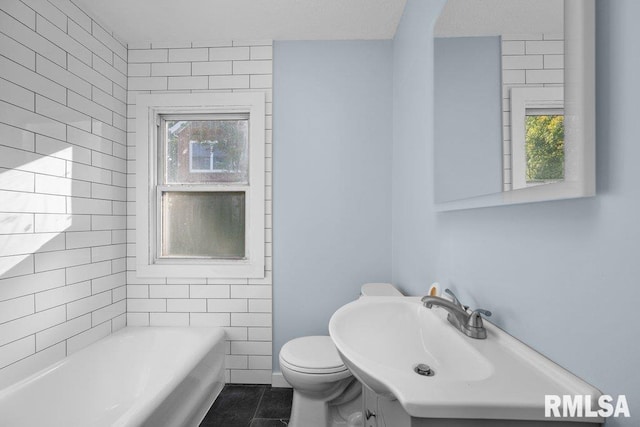 bathroom with plenty of natural light, a tub, vanity, and toilet