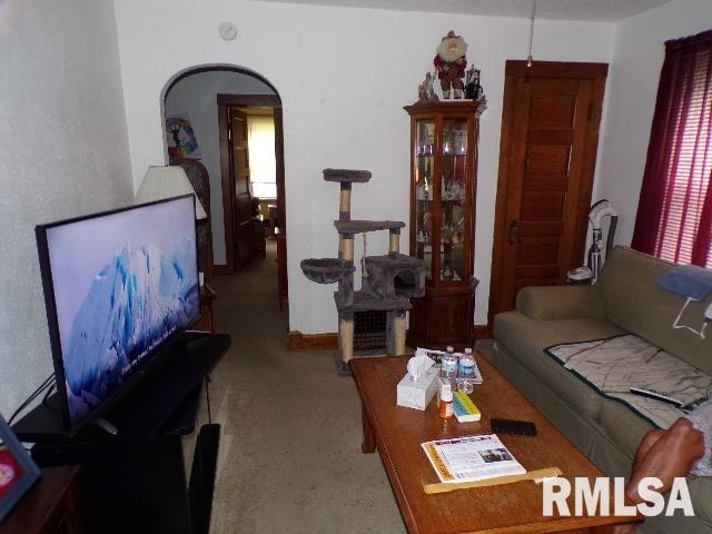 view of carpeted living room