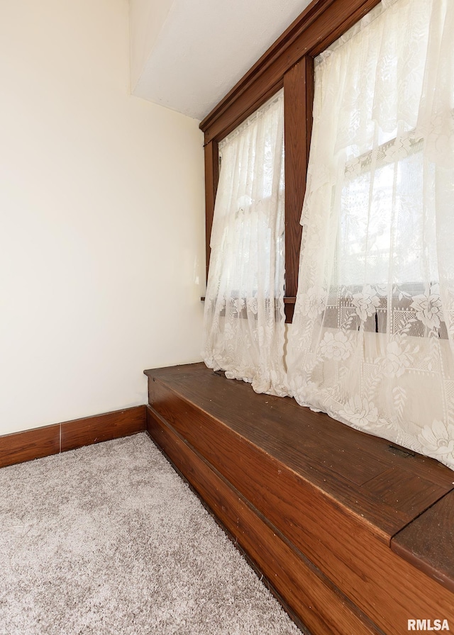 interior details featuring carpet floors