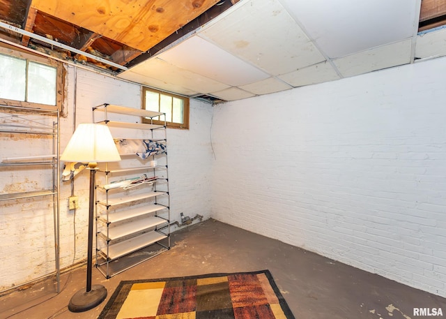 basement with brick wall