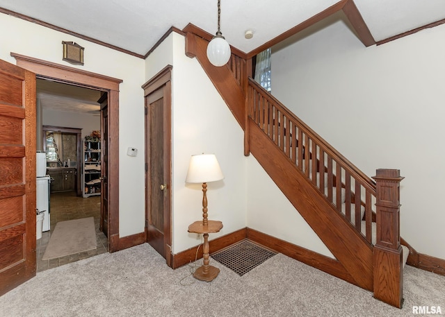 staircase featuring carpet and crown molding