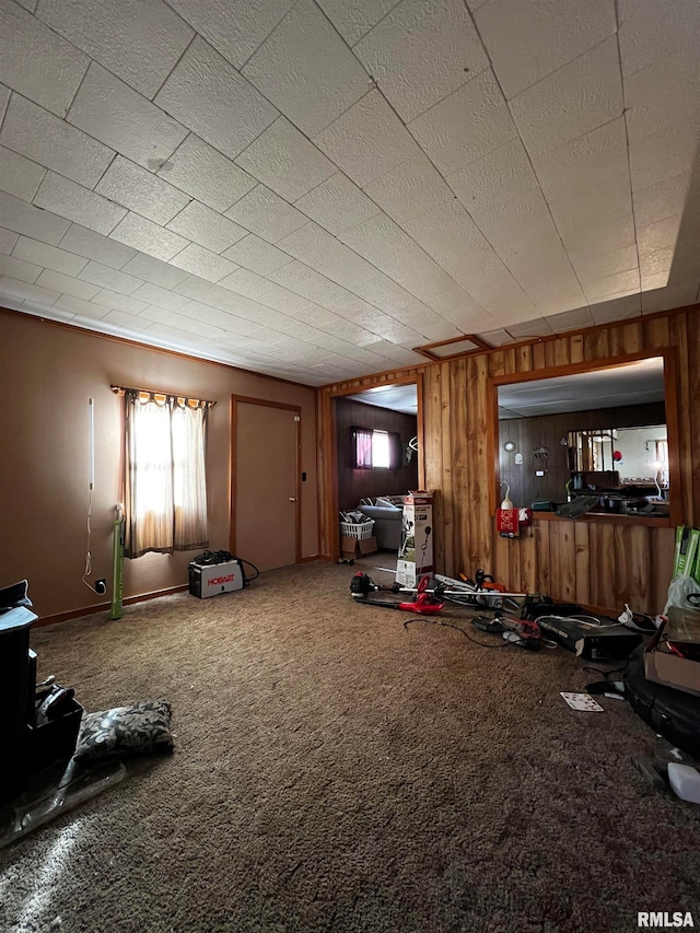 miscellaneous room featuring wooden walls and carpet flooring