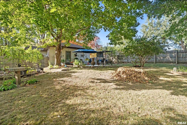 view of yard with a patio