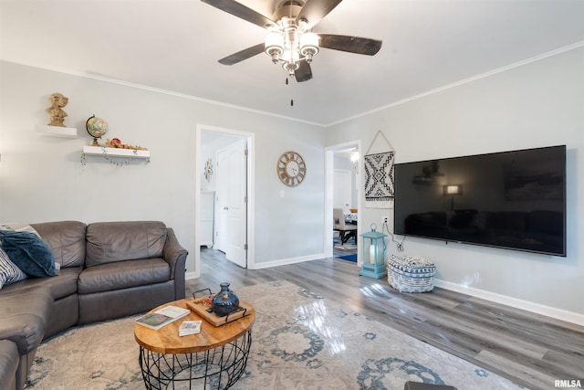 living room featuring ceiling fan, hardwood / wood-style flooring, and ornamental molding