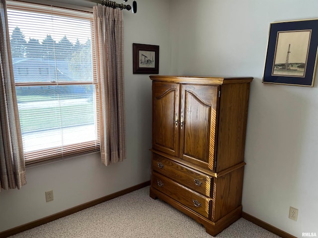 room details featuring carpet