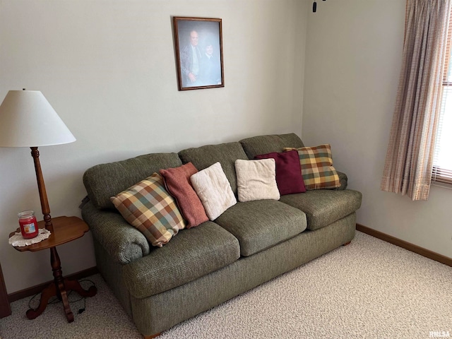 living room featuring carpet flooring