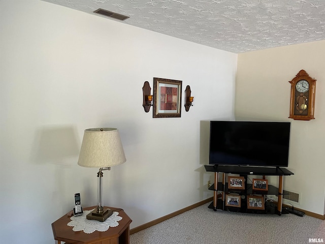 interior space with carpet floors and a textured ceiling