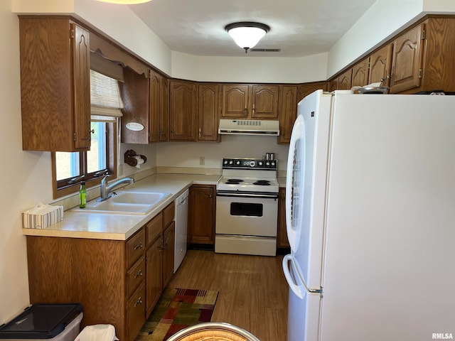 kitchen featuring white appliances, dark hardwood / wood-style flooring, and sink