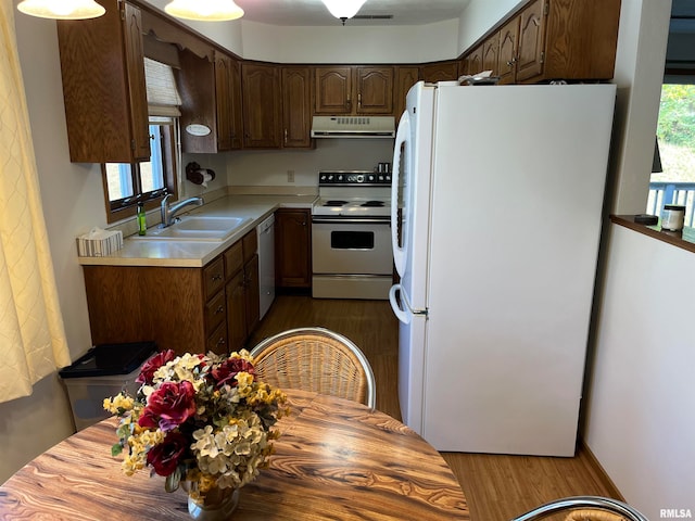 kitchen with white appliances, sink, and dark hardwood / wood-style flooring