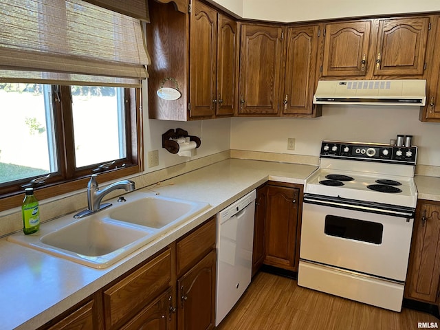 kitchen featuring exhaust hood, light hardwood / wood-style flooring, sink, and white appliances